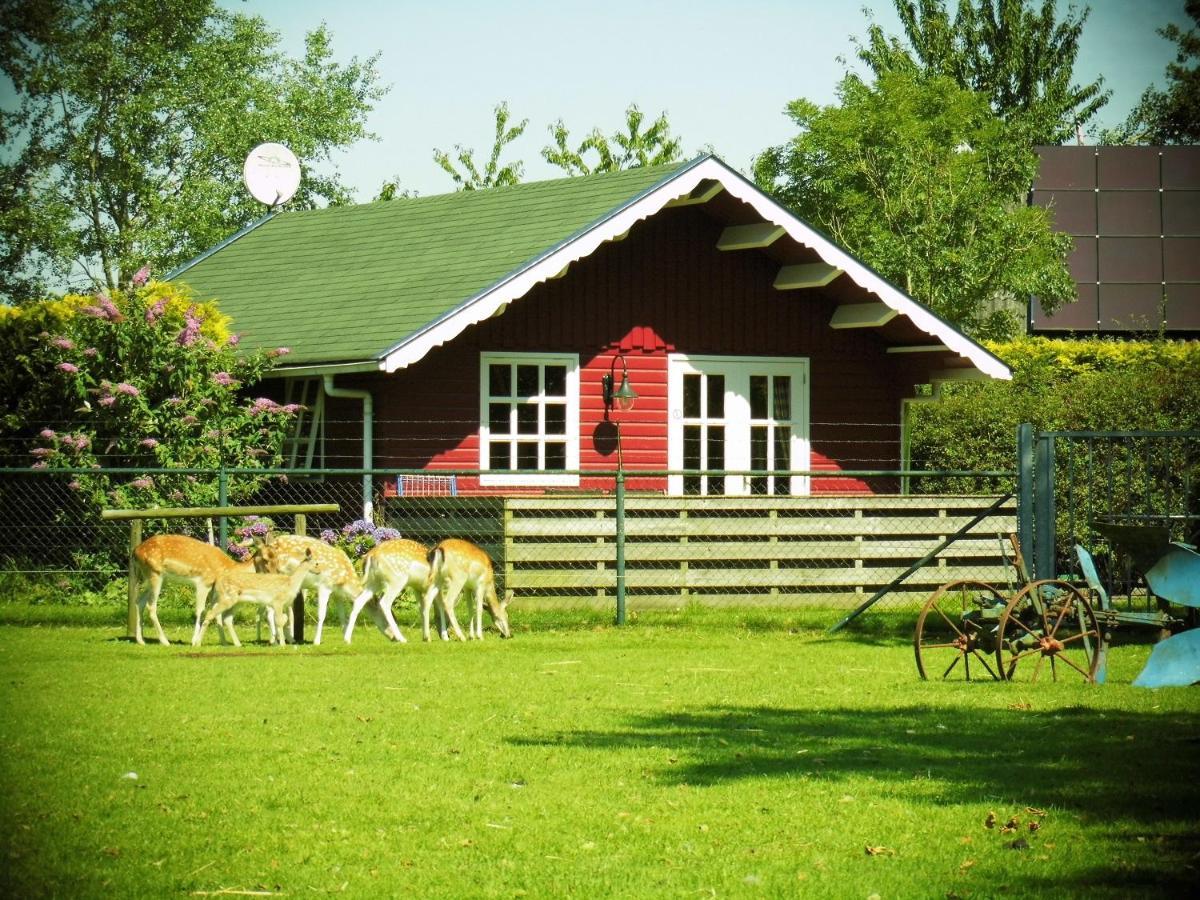 Vakantiehuisjes Landgoed Sonneborghe Kollumerzwaag Zewnętrze zdjęcie
