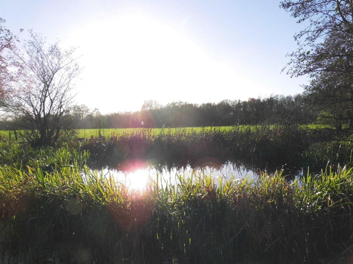 Vakantiehuisjes Landgoed Sonneborghe Kollumerzwaag Zewnętrze zdjęcie