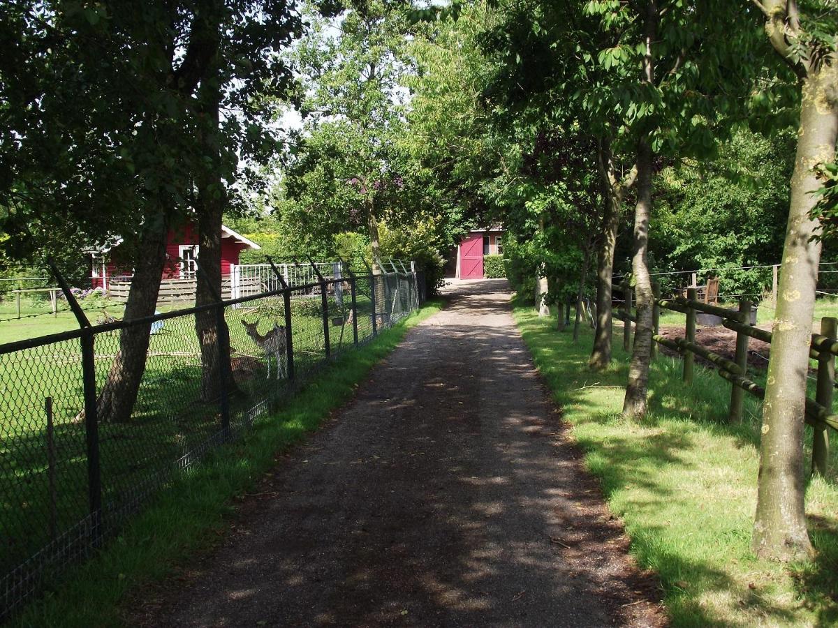 Vakantiehuisjes Landgoed Sonneborghe Kollumerzwaag Zewnętrze zdjęcie