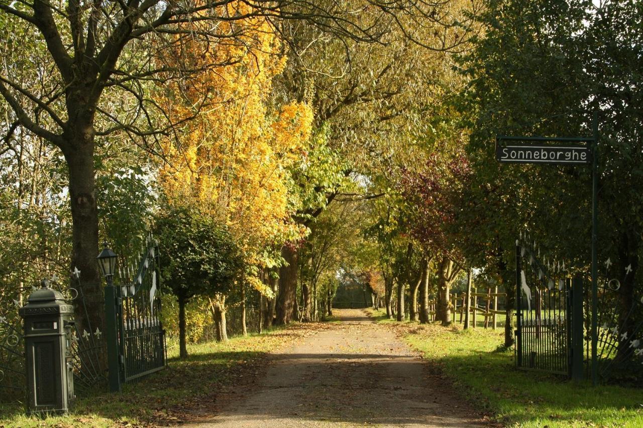 Vakantiehuisjes Landgoed Sonneborghe Kollumerzwaag Zewnętrze zdjęcie