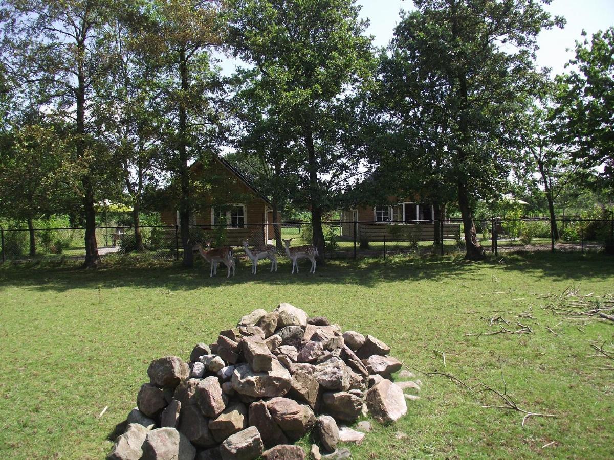 Vakantiehuisjes Landgoed Sonneborghe Kollumerzwaag Zewnętrze zdjęcie