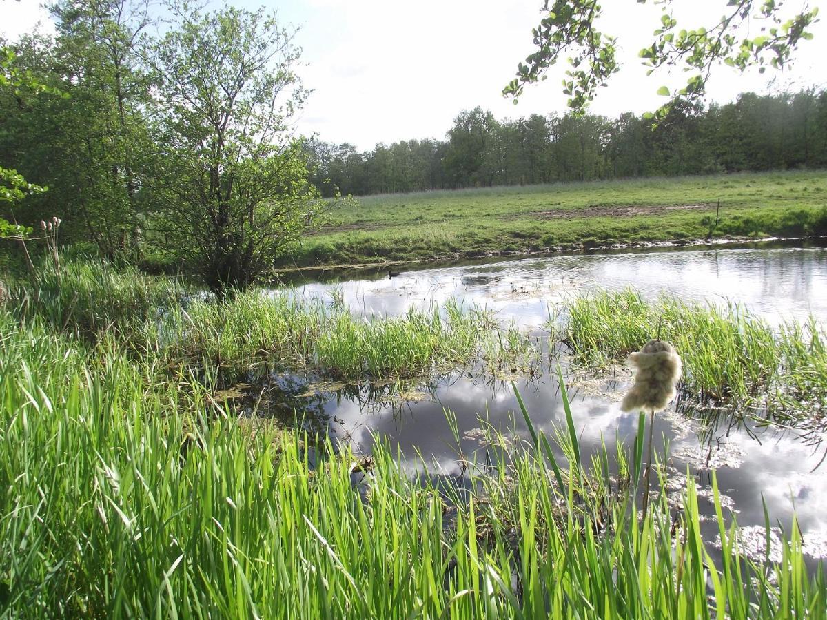Vakantiehuisjes Landgoed Sonneborghe Kollumerzwaag Zewnętrze zdjęcie