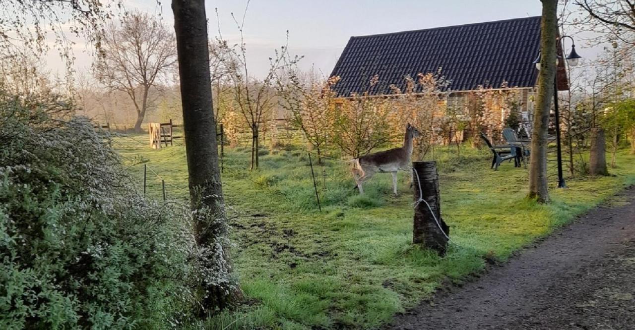 Vakantiehuisjes Landgoed Sonneborghe Kollumerzwaag Zewnętrze zdjęcie