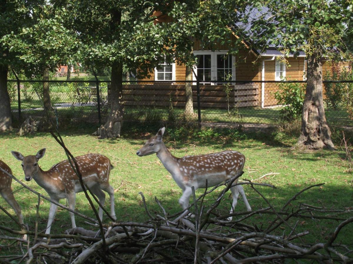 Vakantiehuisjes Landgoed Sonneborghe Kollumerzwaag Zewnętrze zdjęcie